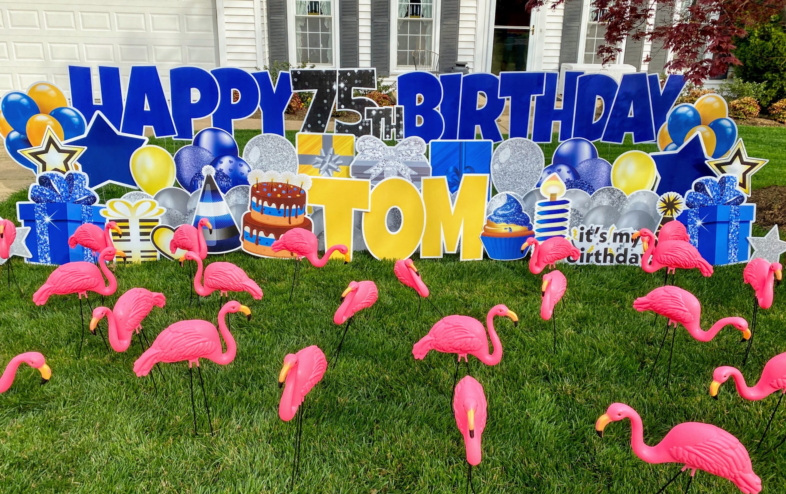 toms birthday yard sign flamingo flocking in springfield va