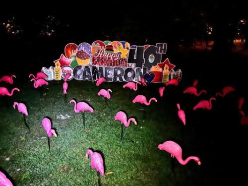 cameron flamingos yard card
