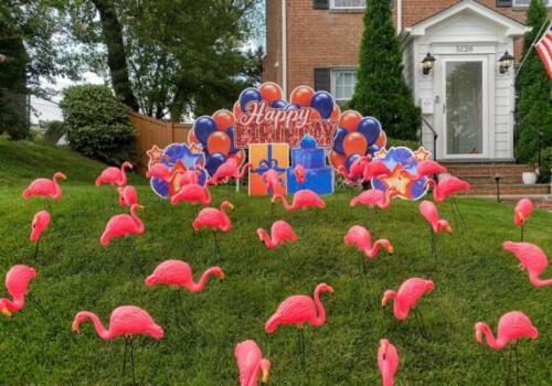 flamingo flocking yard card arlington va