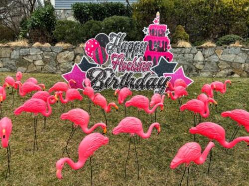 pink and black standard birthday flocking yard card