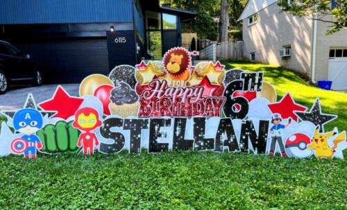 stellan 6th birthday yard card bethesday md