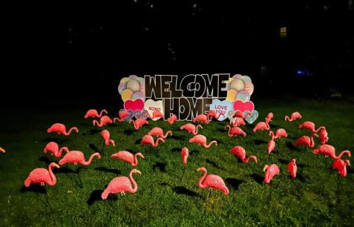 welcome home flamingo flocking